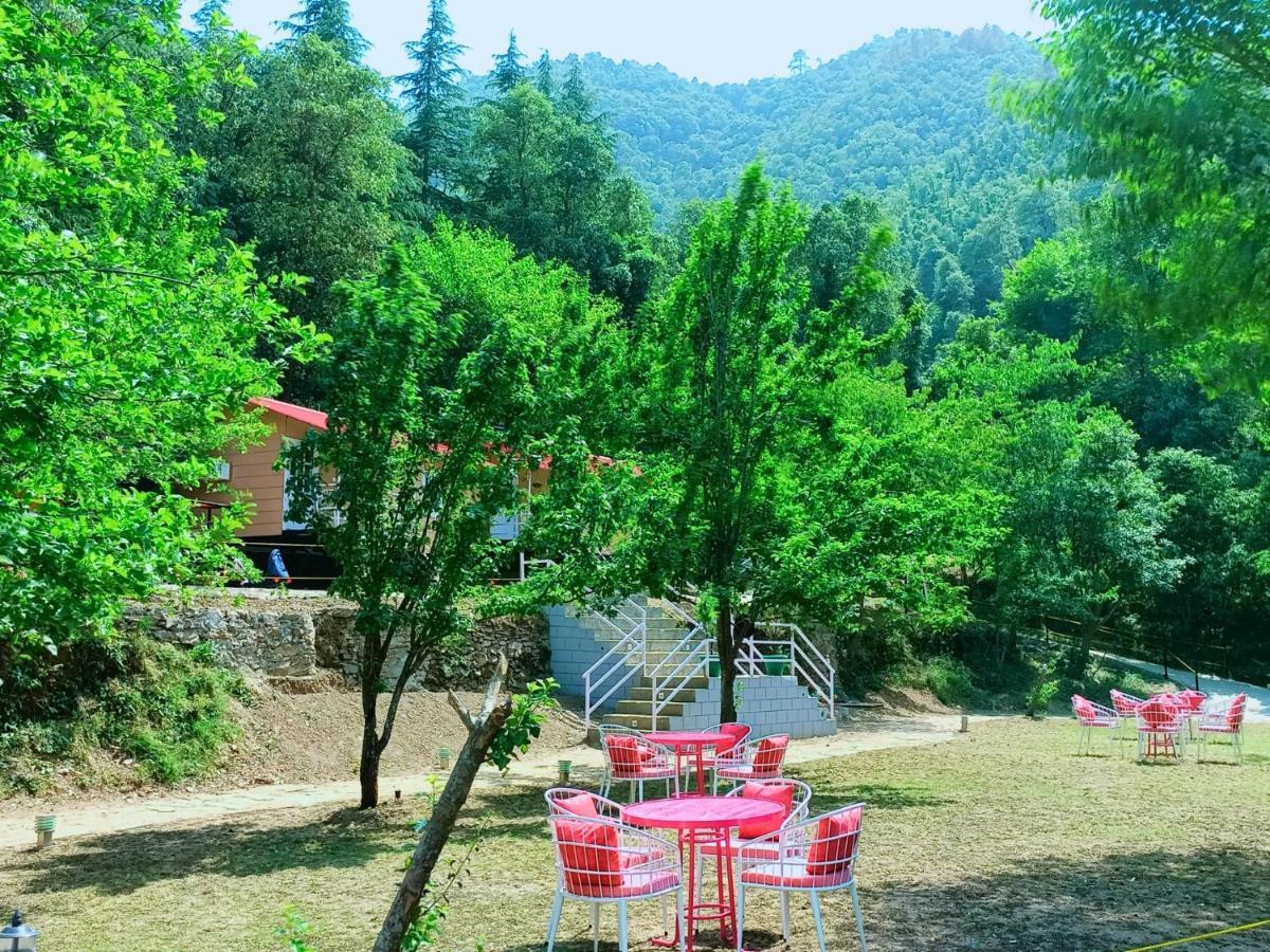 Aaroham Resort, Shimla Dış mekan fotoğraf